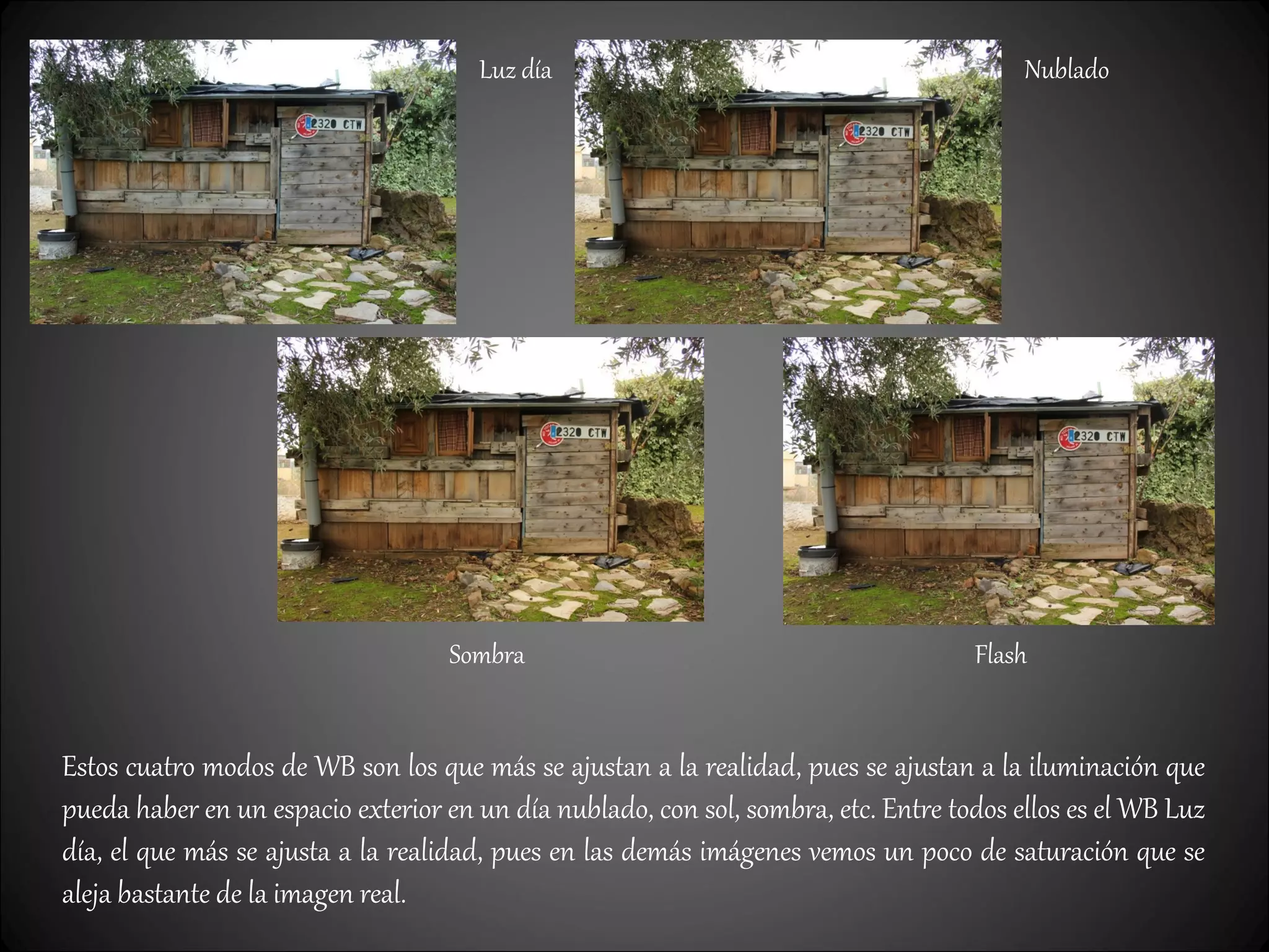 Luz día
Sombra
Nublado
Flash
Estos cuatro modos de WB son los que más se ajustan a la realidad, pues se ajustan a la iluminación que
pueda haber en un espacio exterior en un día nublado, con sol, sombra, etc. Entre todos ellos es el WB Luz
día, el que más se ajusta a la realidad, pues en las demás imágenes vemos un poco de saturación que se
aleja bastante de la imagen real.
 