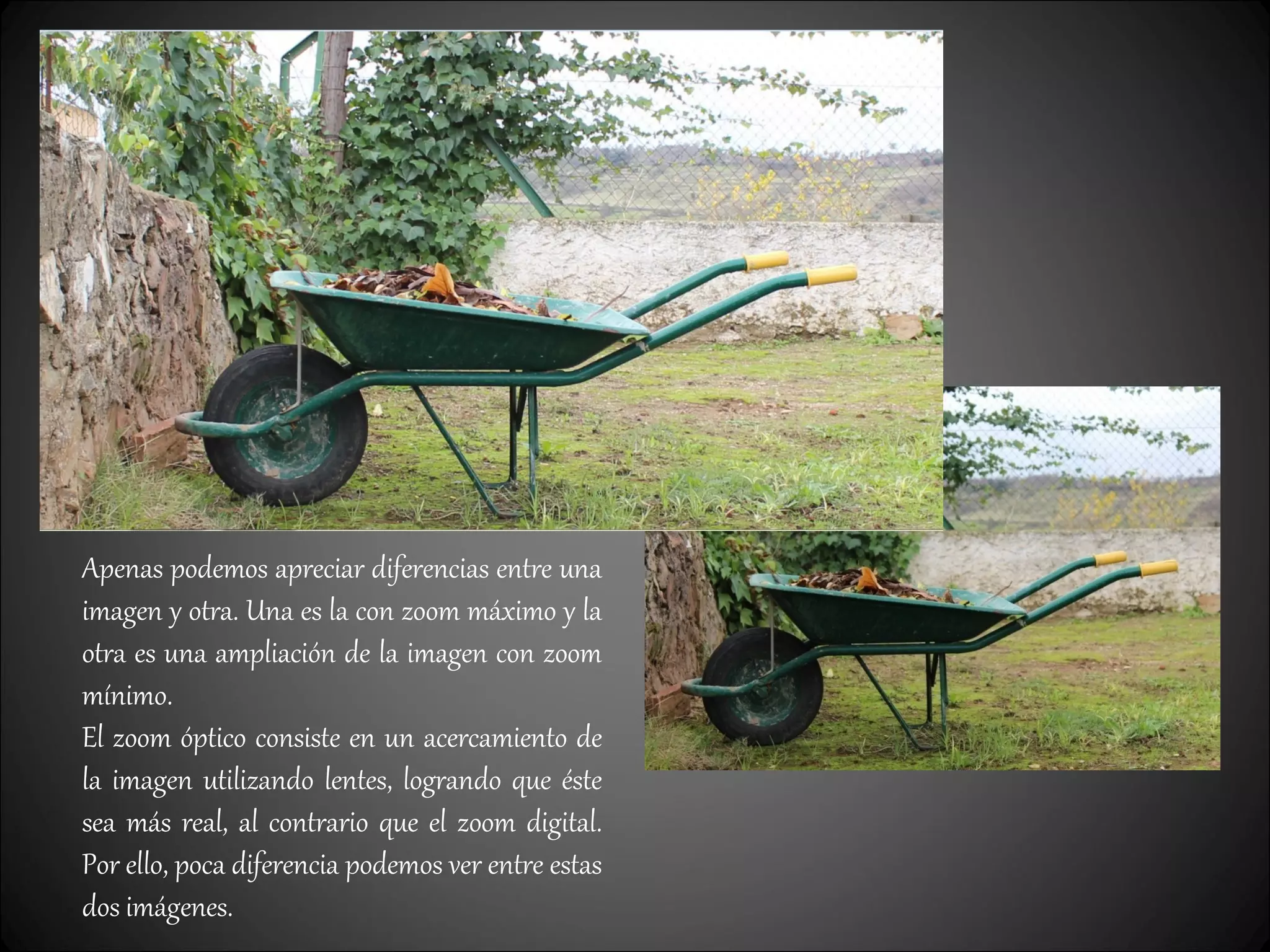 Apenas podemos apreciar diferencias entre una
imagen y otra. Una es la con zoom máximo y la
otra es una ampliación de la imagen con zoom
mínimo.
El zoom óptico consiste en un acercamiento de
la imagen utilizando lentes, logrando que éste
sea más real, al contrario que el zoom digital.
Por ello, poca diferencia podemos ver entre estas
dos imágenes.
 