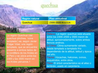 Relieve: La región quechua está situada
entre los 2300–2500 y 3500 msnm de
altitud, aproximadamente, sobre ambos
flancos andinos.
El Clima: Clima sumamente variado,
desde templado a templado frío
dependiendo de la altitud, latitud y época
del año.
Fauna: Vizcachas, halcones, ovinos,
auquénidos, entre otros.
Flora: El árbol característico es el aliso o
lambrán, usado en carpintería.
Región natural Piso altitudinal
Quechua 2300-3500 m.s.n.m
quechua
La región Quechua (del
quechua qhichwa, ‘zona
templada’) es, según Javier
Pulgar Vidal, una región
templada, que se encuentra
presente a ambos lados de
la cordillera de los Andes en
el Perú y se ubica entre los
2300 y los 3500 msnm en
los Andes peruanos.1
 
