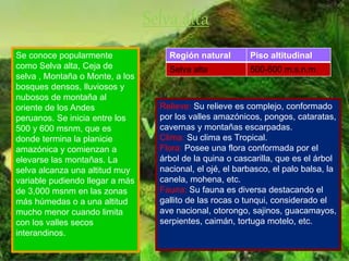 Relieve: Su relieve es complejo, conformado
por los valles amazónicos, pongos, cataratas,
cavernas y montañas escarpadas.
Clima: Su clima es Tropical.
Flora: Posee una flora conformada por el
árbol de la quina o cascarilla, que es el árbol
nacional, el ojé, el barbasco, el palo balsa, la
canela, mohena, etc.
Fauna: Su fauna es diversa destacando el
gallito de las rocas o tunqui, considerado el
ave nacional, otorongo, sajinos, guacamayos,
serpientes, caimán, tortuga motelo, etc.
Selva alta
Se conoce popularmente
como Selva alta, Ceja de
selva , Montaña o Monte, a los
bosques densos, lluviosos y
nubosos de montaña al
oriente de los Andes
peruanos. Se inicia entre los
500 y 600 msnm, que es
donde termina la planicie
amazónica y comienzan a
elevarse las montañas. La
selva alcanza una altitud muy
variable pudiendo llegar a más
de 3,000 msnm en las zonas
más húmedas o a una altitud
mucho menor cuando limita
con los valles secos
interandinos.
Región natural Piso altitudinal
Selva alta 500-600 m.s.n.m
 