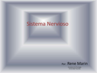 Sistema Nervioso
Por: Rene Marin
Estudiante de Psicología
Universidad Yacambú
 