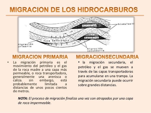 ORIGEN DE LOS HIDROCARBUROS