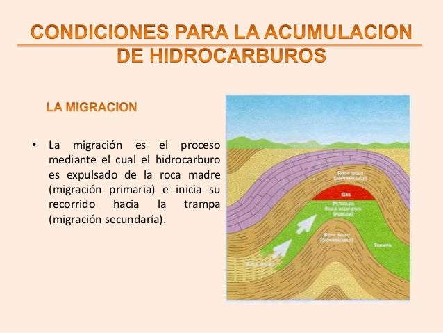 ORIGEN DE LOS HIDROCARBUROS