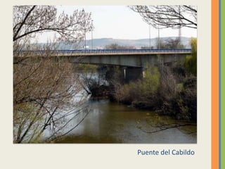 Puente del Cabildo
 