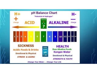 ALKALINE_ACID DIET