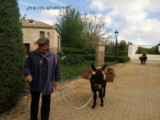 ¡¡POR FIN APARECIO!!
 