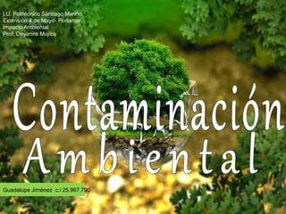 Guadalupe Jiménez c.i 25.967.790
I.U. Politécnico Santiago Mariño
Extensión 4 de Mayo- Porlamar
Impacto Ambiental
Prof. Deyanira Mujica
 