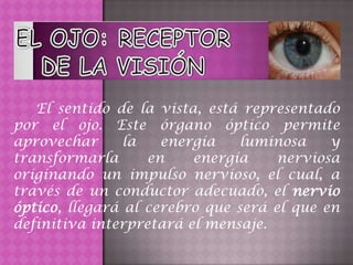El sentido de la vista, está representado
por el ojo. Este órgano óptico permite
aprovechar      la   energía    luminosa    y
transformarla      en    energía     nerviosa
originando un impulso nervioso, el cual, a
través de un conductor adecuado, el nervio
óptico, llegará al cerebro que será el que en
definitiva interpretará el mensaje.
 