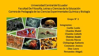 UniversidadCentraldel Ecuador
Facultad De Filosofía, Letras y Ciencias de la Educación
Carrerade Pedagogíade las Ciencias ExperimentalesQuímicay Biología
Grupo N 2
Integrantes:
Carillo Leslie
Chamba Madel
Chamba Lizbeth
Chávez Anahi
Guicela Falcon
Chiliquinga Katherin
Constante Jessica
Diaz Laura
Fernandez Abigail.
 