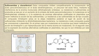 Sulfonamidas y cloranfenicol Estos compuestos inhiben competitivamente la incorporación del
ácido para-aminobenzoico en el ácido tetrahidropteroico, un precursor del ácido fólico, mediante la
interferencia de la enzima involucrada (dihidropteroato sintetasa). La resistencia a sulfonamidas es
producida ya sea por a) un aumento de la síntesis del ácido para-aminobenzoico; b) mutaciones en la
dihidropteroato sintetasa o; c) la existencia de enzimas alternativas codificadas en plasmidios que
hacen inefectiva la acción de las sulfonamidas. La resistencia a las sulfonamidas es de tipo cruzada.
El compuesto trimetoprim actúa en la etapa metabólica posterior al lugar de acción de las
sulfonamidas inhibiendo la dihidrofolatoreductasa bacteriana. La resistencia a este compuesto puede
ser cromosomal o plasmidial. En el primer caso por mutaciones en la enzima que hacen inefectiva la
acción de trimetoprim o por hiperproducción de la misma enzima sin mutaciones. En el segundo caso
por la expresión de enzimas alternativas codificadas en plasmidios, las que no son inhibidas por este
compuesto.
 