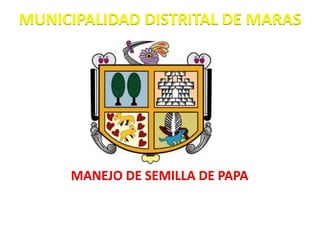 MANEJO DE SEMILLA DE PAPA
MUNICIPALIDAD DISTRITAL DE MARAS
 