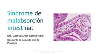 Dra. Gabriela Anahí Gómez Vidrio
Residente de segundo año de
Pediatría
Daza, W. (2018). Síndrome de malabsorcion en pediatria; enfoque práctico y
terapéutico. Precop SCP, 8(4), 28–37.
 