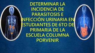 DETERMINAR LA
INCIDENCIA DE
PARASITOSIS E
INFECCIÓN URINARIA EN
ESTUDIANTES DE 6TO DE
PRIMARIA DE LA
ESCUELA COLUMNA
PORVENIR
 