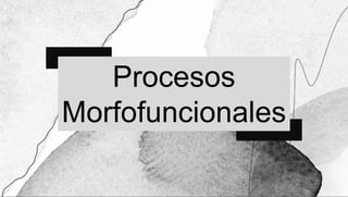 Procesos
Morfofuncionales
 