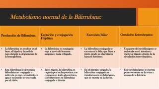 Metabolismo normal de la Bilirrubina:
Producción de Bilirrubina Captación y conjugación
Hepática
Excreción Biliar Circulación Enterohepática
• La bilirrubina se produce en el
bazo, el hígado y la médula
ósea durante la degradación de
la hemoglobina.
• La bilirrubina no conjugada
viaja a través del torrente
sanguíneo hasta el hígado.
• La bilirrubina conjugada se
excreta en la bilis, que fluye a
través desde las vías biliares
hasta el duodeno.
• Una parte del urobilinógeno se
reabsorbe en el intestino y
vuelve al hígado a través de la
circulación enterohepática.
• Esta bilirrubina se denomina
bilirrubina no conjugada o
indirecta, ya que es insoluble en
agua y no puede ser excretada
por el riñón.
• En el hígado, la bilirrubina es
captada por los hepatocitos y se
conjuga con ácido glucurónico,
convirtiéndose en bilirrubina
conjugada o directa.
• En el intestino delgado, la
bilirrubina conjugada se
transforma en urobilinógeno,
que se excreta en las heces.
• Este urobilinógeno se excreta
posteriormente en la orina a
causas de la Ictericia.
 