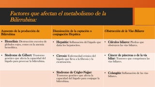 Factores que afectan el metabolismo de la
Bilirrubina:
Aumento de la producción de
Bilirrubina
Disminución de la captación o
conjugación Hepática
Obstrucción de la Vías Biliares
• Hemólisis: Destrucción excesiva de
glóbulos rojos, como en la anemia
hemolítica.
• Hepatitis: Inflamación del hígado que
daña los hepatocitos.
• Cálculos biliares: Piedras que
obstruyen las vías biliares.
• Síndrome de Gilbert: Trastorno
genético que afecta la capacidad del
hígado para procesar la bilirrubina.
• Cirrosis: Enfermedad crónica del
hígado que lleva a la fibrosis y la
cicatrización.
• Cáncer de páncreas o de la vía
biliar: Tumores que comprimen las
vías biliares.
• Síndrome de Crigler-Najjar:
Trastorno genético que afecta la
capacidad del hígado para conjugar la
bilirrubina.
• Colangitis: Inflamación de las vías
biliares.
 