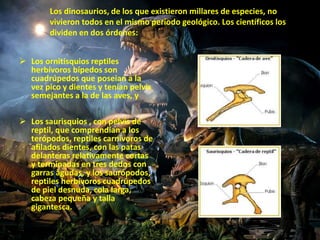 Los dinosaurios, de los que existieron millares de especies, no 
vivieron todos en el mismo período geológico. Los científicos los 
dividen en dos órdenes: 
 Los ornitisquios reptiles 
herbívoros bípedos son 
cuadrúpedos que poseian a la 
vez pico y dientes y tenían pelvis 
semejantes a la de las aves, y 
 Los saurisquios , con pelvis de 
reptil, que comprendían a los 
terópodos, reptiles carnívoros de 
afilados dientes, con las patas 
delanteras relativamente cortas 
y terminadas en tres dedos con 
garras agudas, y los saurópodos, 
reptiles herbívoros cuadrúpedos 
de piel desnuda, cola larga, 
cabeza pequeña y talla 
gigantesca. 
 