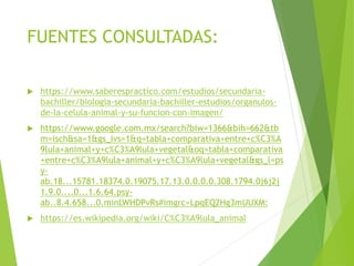 FUENTES CONSULTADAS:
 https://www.saberespractico.com/estudios/secundaria-
bachiller/biologia-secundaria-bachiller-estudios/organulos-
de-la-celula-animal-y-su-funcion-con-imagen/
 https://www.google.com.mx/search?biw=1366&bih=662&tb
m=isch&sa=1&gs_ivs=1&q=tabla+comparativa+entre+c%C3%A
9lula+animal+y+c%C3%A9lula+vegetal&oq=tabla+comparativa
+entre+c%C3%A9lula+animal+y+c%C3%A9lula+vegetal&gs_l=ps
y-
ab.18...15781.18374.0.19075.17.13.0.0.0.0.308.1794.0j6j2j
1.9.0....0...1.6.64.psy-
ab..8.4.658...0.minLWHDPvRs#imgrc=LpqEQ2Hg3mUUXM:
 https://es.wikipedia.org/wiki/C%C3%A9lula_animal
 