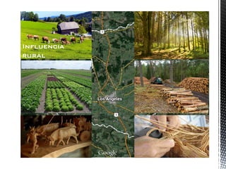 Influencia rural  