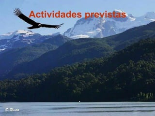 Actividades previstas .  