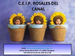 C.E.I.P. ROSALES DEL CANAL http://www.colegiorosalesdelcanal.es Email:  [email_address] C/Luis Gracia Iberni Nº4  C.P. 50012 Zaragoza Telf.:876 24 15 65 Fax: 876 24 11 82 