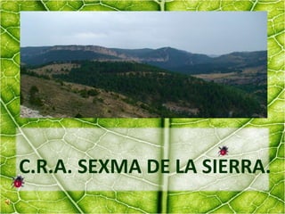 C.R.A. SEXMA DE LA SIERRA.
 