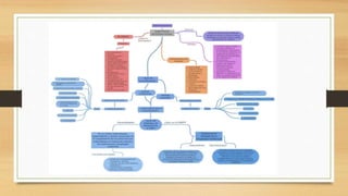 Presentación 2 (1).pptx