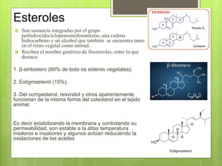 Presentación2 (1).pptx