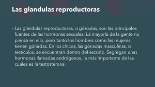 Las glandulas reproductoras
• Las glándulas reproductoras, o gónadas, son las principales
fuentes de las hormonas sexuales. La mayoría de la gente no
piensa en ello, pero tanto los hombres como las mujeres
tienen gónadas. En los chicos, las gónadas masculinas, o
testículos, se encuentran dentro del escroto. Segregan unas
hormonas llamadas andrógenos, la más importante de las
cuales es la testosterona
 