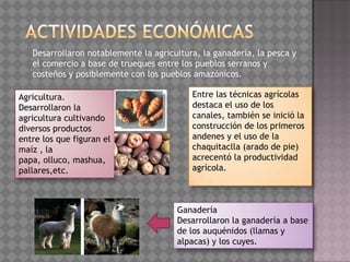 Desarrollaron notablemente la agricultura, la ganadería, la pesca y
   el comercio a base de trueques entre los pueblos serranos y
   costeños y posiblemente con los pueblos amazónicos.

Agricultura.                               Entre las técnicas agrícolas
Desarrollaron la                           destaca el uso de los
agricultura cultivando                     canales, también se inició la
diversos productos                         construcción de los primeros
entre los que figuran el                   andenes y el uso de la
maíz , la                                  chaquitaclla (arado de pie)
papa, olluco, mashua,                      acrecentó la productividad
pallares,etc.                              agrícola.



                                       Ganadería
                                       Desarrollaron la ganadería a base
                                       de los auquénidos (llamas y
                                       alpacas) y los cuyes.
 