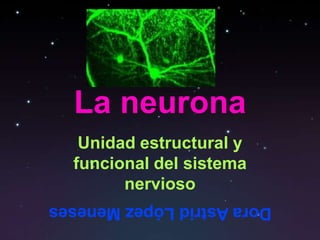 La neurona
   Unidad estructural y
  funcional del sistema
        nervioso
Dora Astrid López Meneses
 