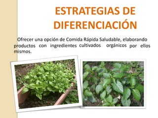 ESTRATEGIAS DE
DIFERENCIACIÓN
Ofrecer una opción de Comida Rápida Saludable, elaborando
productos
mismos.
con ingredientes orgánicos
cultivados por ellos
 