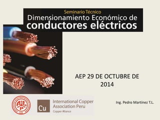 AEP 29 DE OCTUBRE DE 
2014 
Ing. Pedro Martínez T.L. 
 