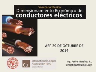 AEP 29 DE OCTUBRE DE 
2014 
Ing. Pedro Martínez T.L. 
pmartineztl@gmail.com 
