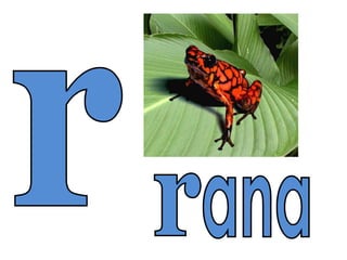 Presentación2 abc minúscula