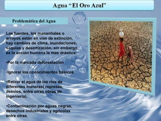 Problemática del Agua

Las fuentes, los manantiales o
arroyos están en vías de extinción,
hay cambios de clima, inundaciones,
sequias y desertización, sin embargo
es la acción humana la mas drástica:

•Por la marcada deforestación

•Ignorar los conocimientos básicos

•Retirar el agua de los ríos de
diferentes maneras( represas,
desvíos, entre otras obras de
ingeniería).

•Contaminación por aguas negras,
desechos industriales y agrícolas
entre otras.
 