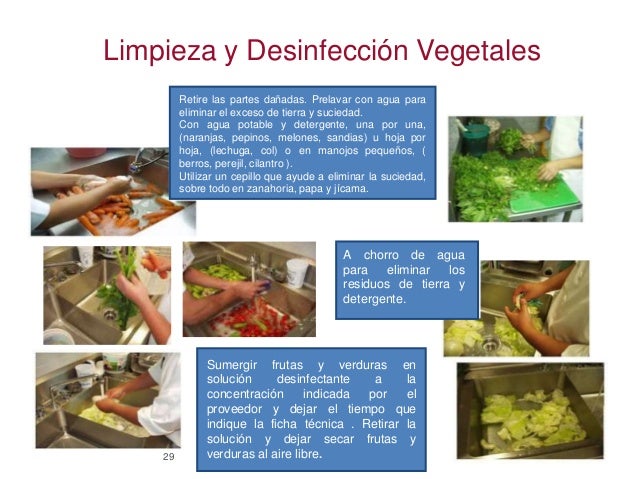 Manejo Higienico de Alimentos 2da parte