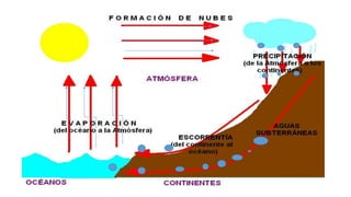Presentación2 ciclo del agua
