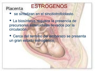 ESTROGENOS
•
•

se sintetizan en el sincitiotrofoblasto.

La biosíntesis requiere la presencia de
precursores esteroidales llevados por la
circulación.

•

Cerca del termino del embarazo se presenta
un gran estado estrogénico.

 