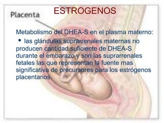 ESTROGENOS
Metabolismo del DHEA-S en el plasma materno:
• las glándulas suprarrenales maternas no
producen cantidad suficiente de DHEA-S
durante el embarazo y son las suprarrenales
fetales las que representan la fuente mas
significativa de precursores para los estrógenos
placentarios.

 