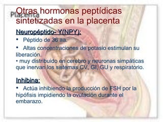 Otras hormonas peptídicas
sintetizadas en la placenta
Neuropéptido- Y(NPY):

•
•

Péptido de 36 aa.
Altas concentraciones de potasio estimulan su
liberación.
• muy distribuido en cerebro y neuronas simpáticas
que inervan los sistemas CV, GI, GU y respiratorio.

Inhibina:

•

Actúa inhibiendo la producción de FSH por la
hipófisis impidiendo la ovulación durante el
embarazo.

 
