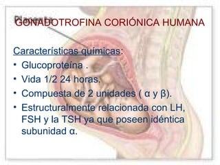 GONADOTROFINA CORIÓNICA HUMANA
Características químicas:
• Glucoproteína .
• Vida 1/2 24 horas.
• Compuesta de 2 unidades ( α y β).
• Estructuralmente relacionada con LH,
FSH y la TSH ya que poseen idéntica
subunidad α.

 