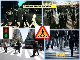 CAMINO HACIA LA VIDA 
