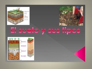 Presentación 2 el suelo, su estructura y tipos de suelo c. naturales