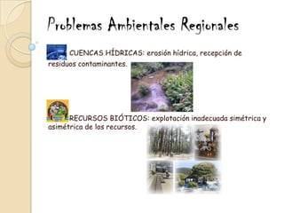 Problemas Ambientales Regionales           CUENCAS HÍDRICAS: erosión hídrica, recepción de   residuos contaminantes.           RECURSOS BIÓTICOS: explotación inadecuada simétrica y asimétrica de los recursos. 