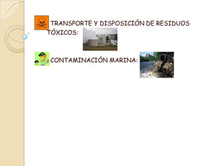        TRANSPORTE Y DISPOSICIÓN DE RESIDUOS       TÓXICOS:       CONTAMINACIÓN MARINA: