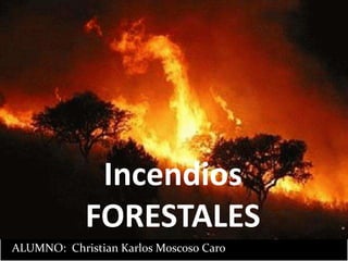 Incendios
            FORESTALES
ALUMNO: Christian Karlos Moscoso Caro
 