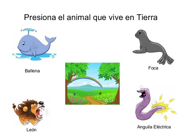 Presentacion2 Lalo