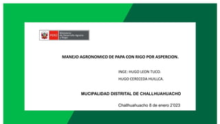 MANEJO AGRONOMICO DE PAPA CON RIGO POR ASPERCION.
MUCIPALIDAD DISTRITAL DE CHALLHUAHUACHO
INGE: HUGO LEON TUCO.
HUGO CERECEDA HUILLCA.
Challhuahuacho 8 de enero 2’023
 