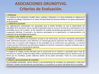ASOCIACIONES GRUNDTVIG.
  Criterios de Evaluación.
 